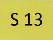s13
